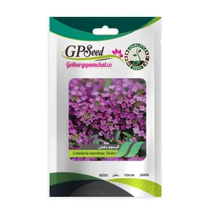 بذر گل آلیسوم بنفش جی پی سید مدل GP17018