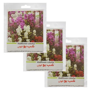 بذر گل شب بو الوان گرین فارم کد SBGR 11 بسته 3 عددی