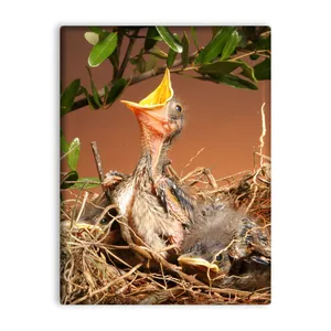 کاشی اطلس آبی طرح جوجه ولانه جوجه و برگ مدل T5885