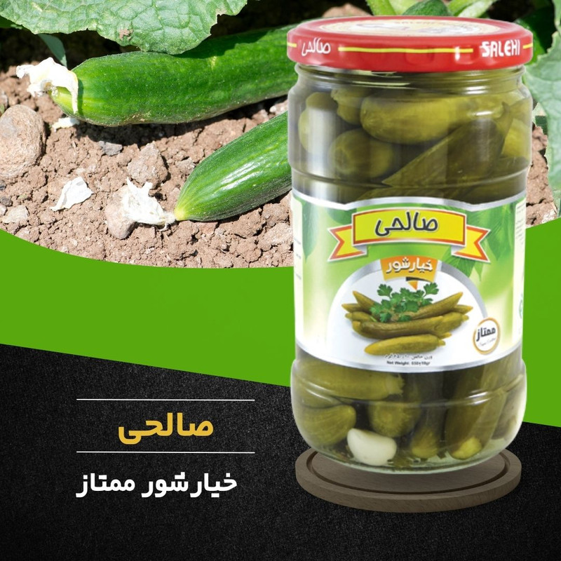 خیارشور پاستوریزه ممتاز صالحی  - 650 گرم