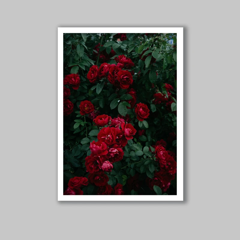 تابلو لیلیان طرح گل رز کد LA-G10237