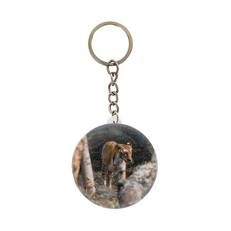 جاکلیدی عرش مدل فانتزی ببر کد Asj6090