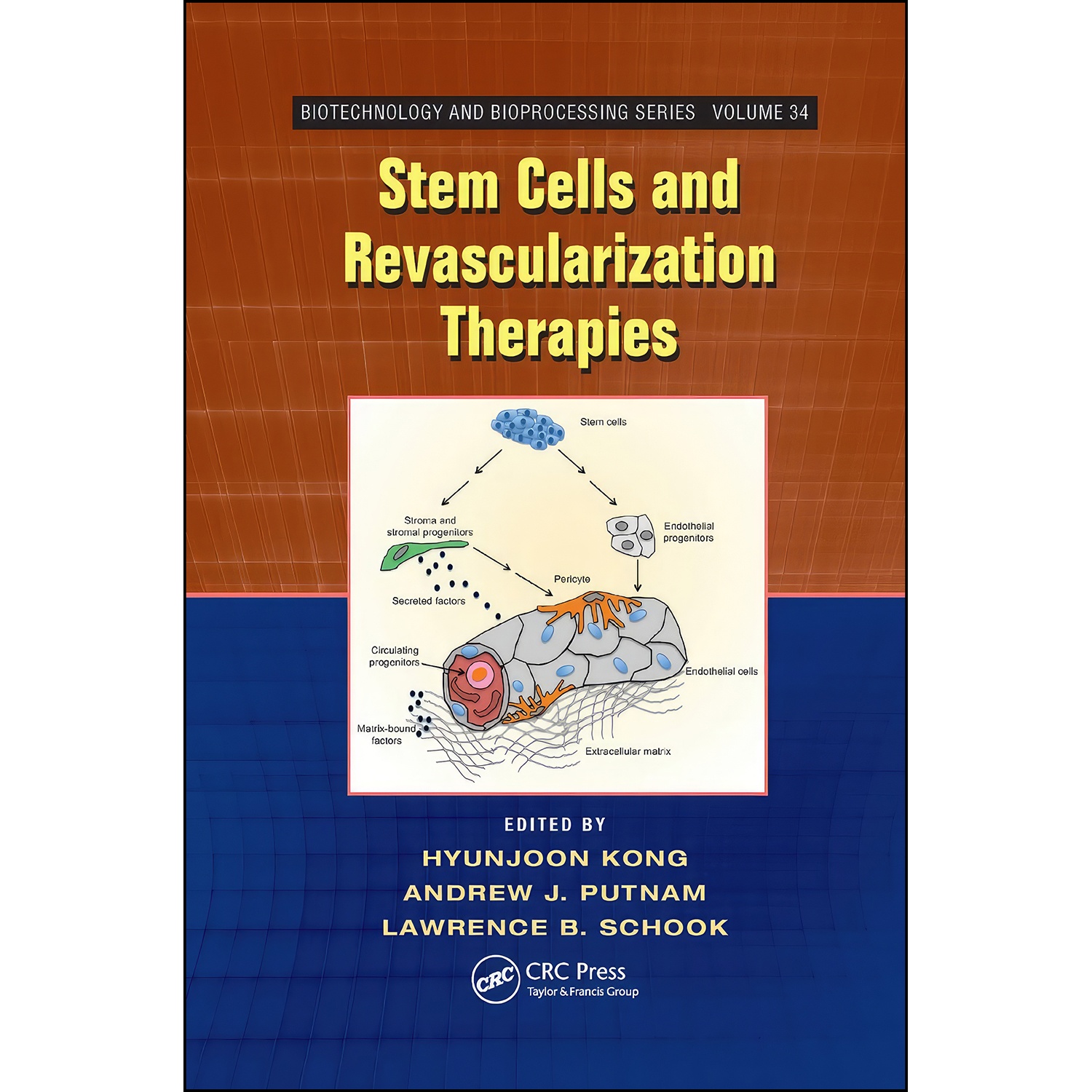 کتاب Stem Cells and Revascularization Therapies اثر جمعي از نويسندگان انتشارات CRC Press