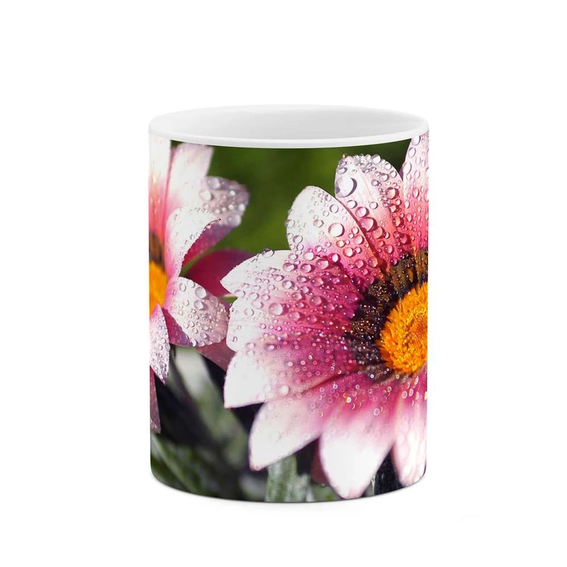 ماگ کاکتی مدل گل کد mgh12108