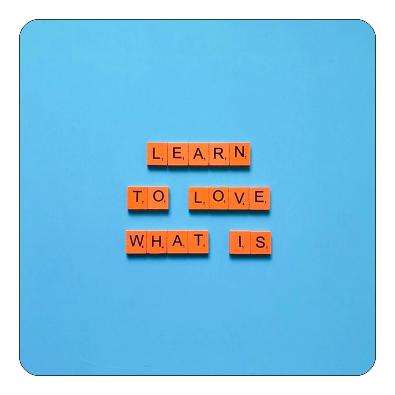 مگنت کاکتی طرح جملات انگیزشی و مثبت مدل mp24745