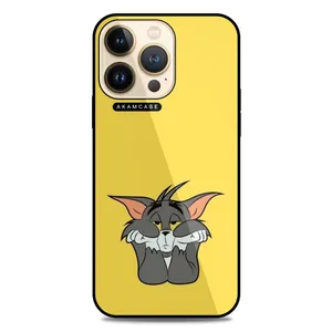 AKAM AMC-WA13PRO-TOM & JERRY5 Cover For Apple iPhone 13 Pro