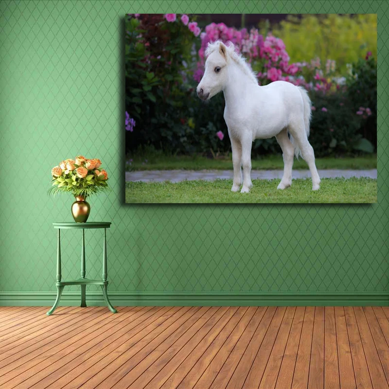 تابلو شاسی مدل اسب کد 26