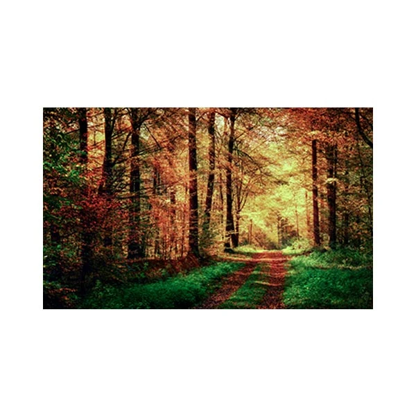   پادری مدل گل و طبیعت کد M35M001-MF0048 سایز 76x46 سانتی متر