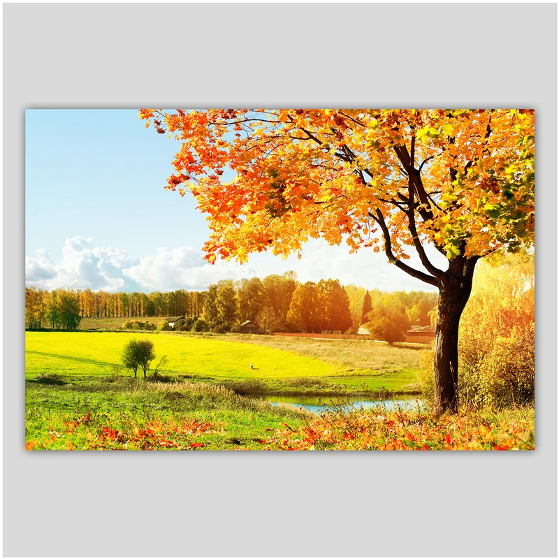 تابلو شاسی دکوگراف مدل درخت پاییزی کد 493