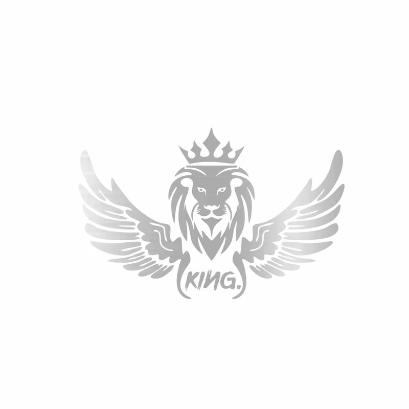 برچسب بدنه خودرو رادیانس طرح LionFly کد B33
