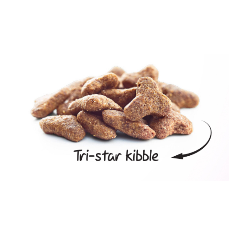 غذا خشک گربه سولواس مدل بالغ طعم مرغ وزن ۲ کیلوگرم