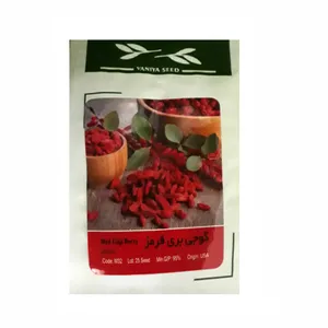 بذر گوجه بری قرمز وانیا سید کد M32