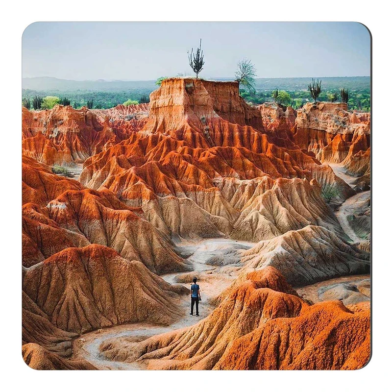 مگنت طرح بیابان و دشت کد wmg1734