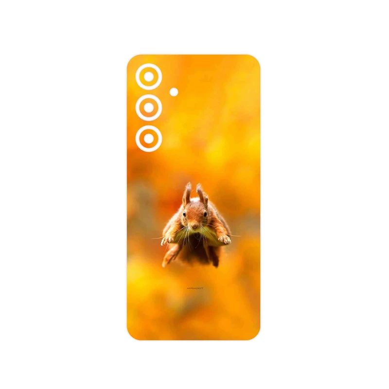 برچسب پوششی ماهوت مدل Squirrel مناسب برای گوشی موبایل سامسونگ Galaxy S24 FE