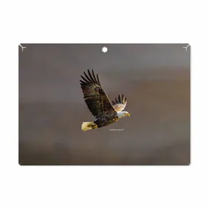 MAHOOT Eagle Cover Sticker for Lenovo Miix 320 2017