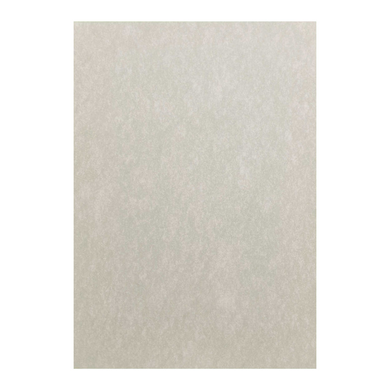 کاغذ کالک A3 شولرزهامر مدل رنگی کد CLR100gA3 بسته 10 عددی