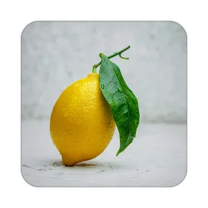 زیر لیوانی کاکتی طرح میوه مدل mp22100