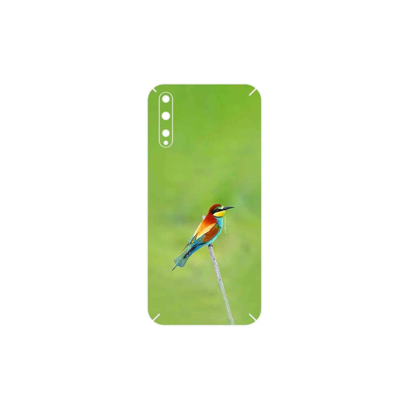برچسب پوششی ماهوت مدل European bee-eater مناسب برای گوشی موبایل هوآوی Y8p