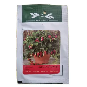 بذر توت فرنگی مینیاتوری وانیا سید مدل BA527