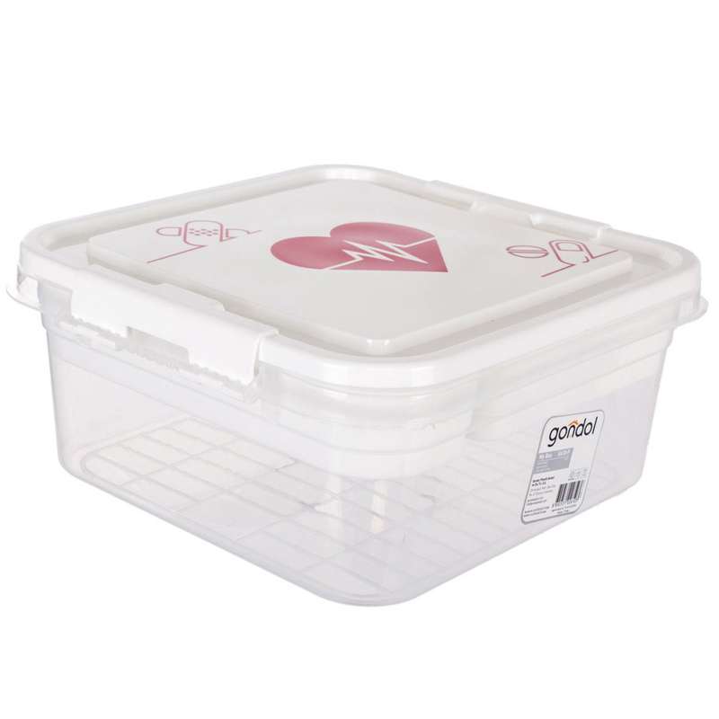 جعبه نگه دارنده دارو گاندول مدل G610-P