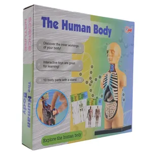 بازی آموزشی ناب سل مدل مولاژ آناتومی اعضای بدن The Human Body