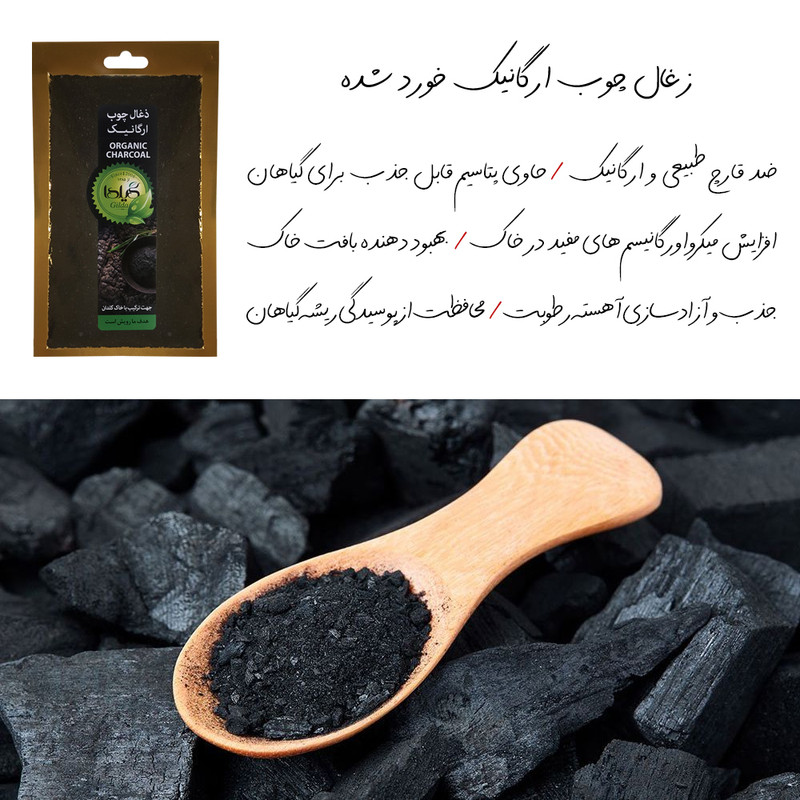 خاک ذغال گیلدا مدل GZ50 وزن 50 گرم