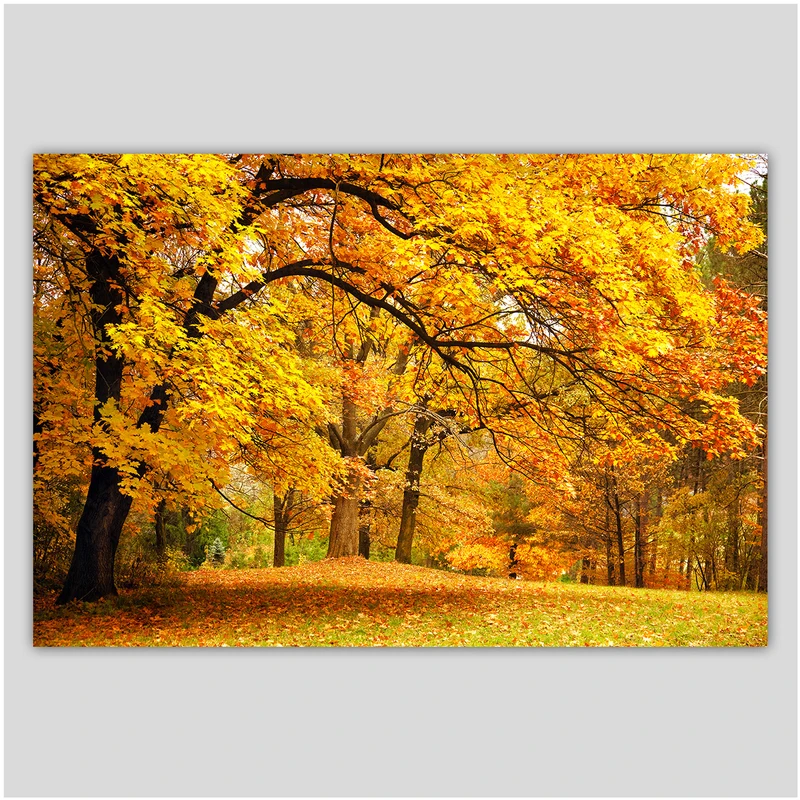 تابلو شاسی دیواری دکوگراف پاییز زرد کد 486
