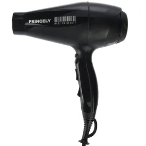 سشوار حرفه ای پرینسلی مدل PR243