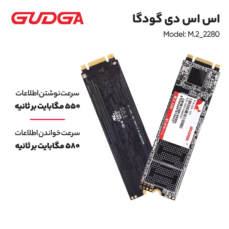 اس اس دی اینترنال گودگا مدل M.2_2280 ظرفیت 256 گیگابایت