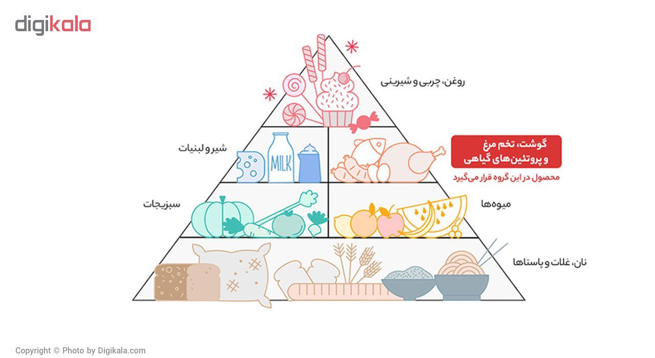 کنسرو خوراک لوبیا مجید - 400 گرم main 1 5