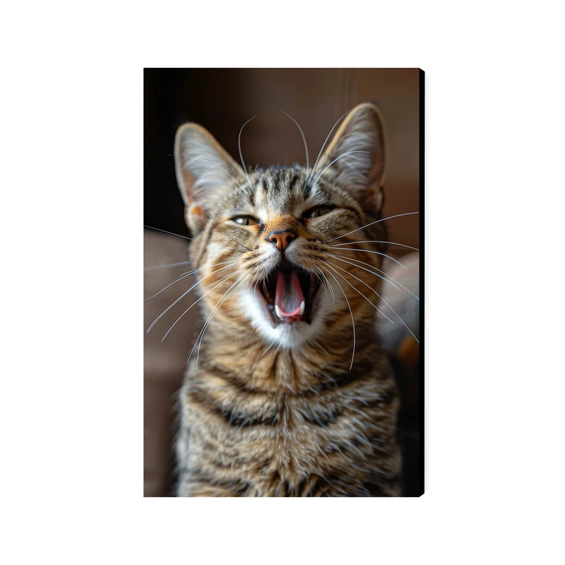 تابلو شاسی عرش مدل فانتزی گربه کد As4306