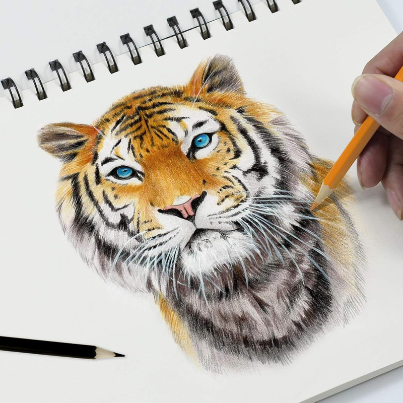 مداد رنگی 18 رنگ یالونگ مدل Y22105918 کد 3