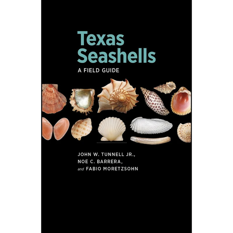 کتاب Texas Seashells اثر جمعي از نويسندگان انتشارات Texas A&M University Press