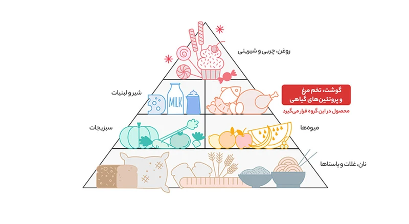 سوپ نیمه آماده ورمیشل و مرغ هاتی کارا مقدار 70 گرم عکس شماره 7