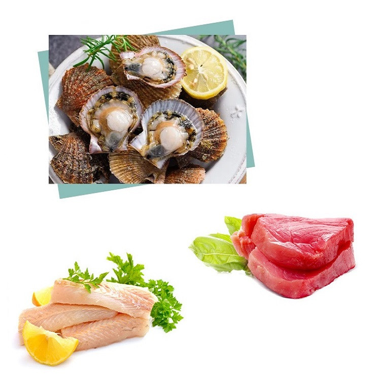 تشویقی گربه ونپی مدل تن ماهی و صدف دریایی وزن 70 گرم