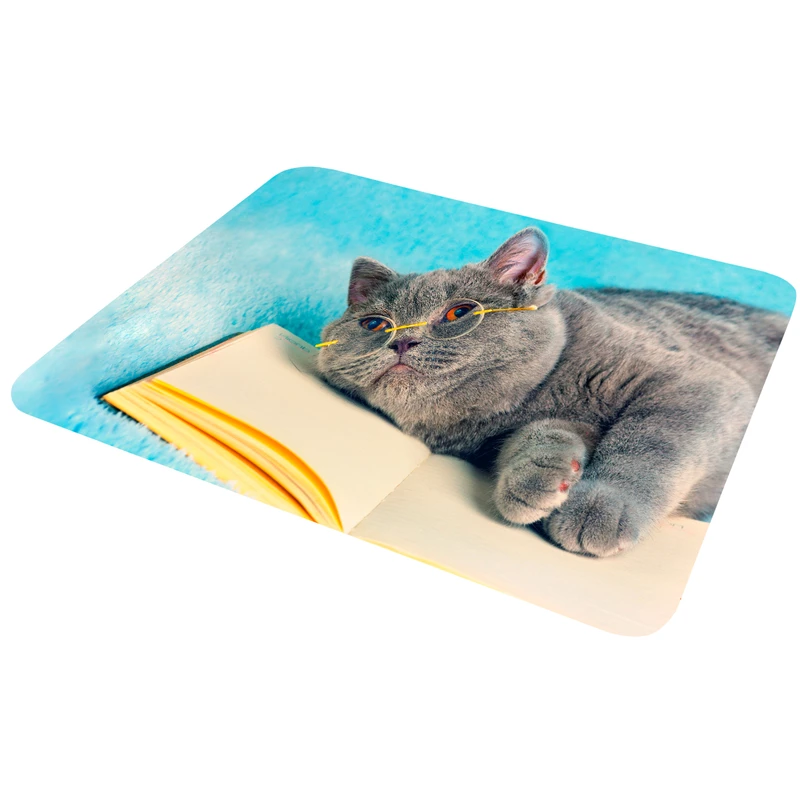 ماوس پد مدل MP904