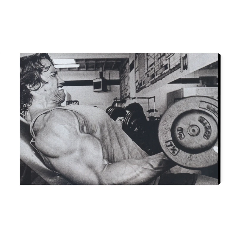 تابلو شاسی عرش مدل مشاهیر آرنولد Arnold کد As2759