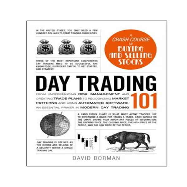 کتاب Day Trading 101 اثر David Borman انتشارات نبض دانش