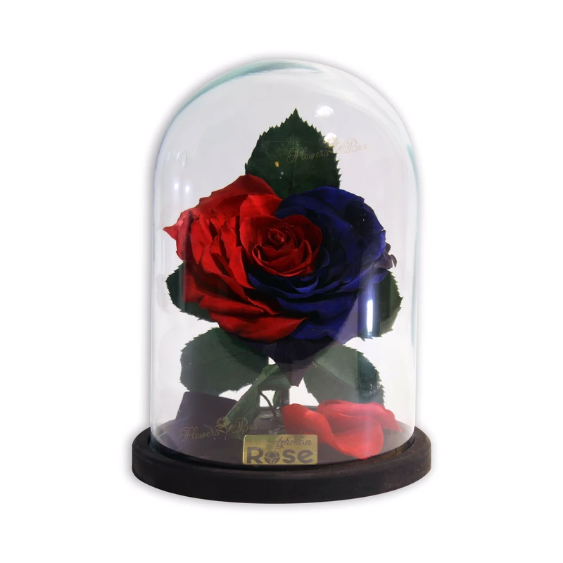 گل رز جاودان مدل ديودلبر قلب