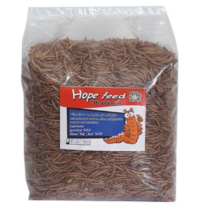 نقد و بررسی غذای خشک پرندگان هوپ فید مدل میلورم وزن یک کیلو گرم توسط خریداران