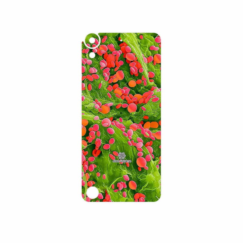 برچسب پوششی ماهوت مدل Atom Universe 3 مناسب برای گوشی موبایل اچ تی سی Desire 630