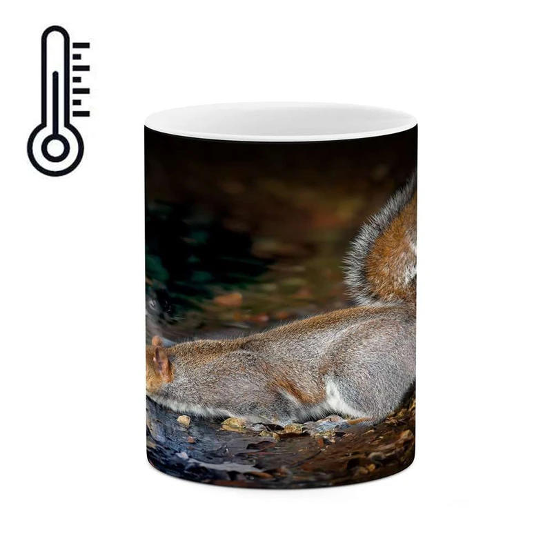 ماگ حرارتی کاکتی مدل سنجاب کد mgh15666