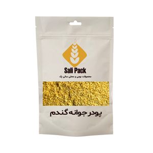 پودر جوانه گندم سالی پک - 100 گرم