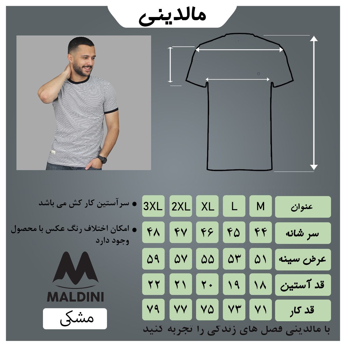 تی شرت آستین کوتاه مردانه مالدینی مدل t-498 -  - 4