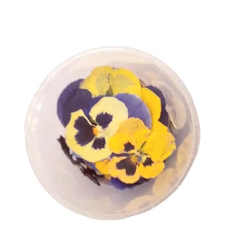 گل خشک مدل بنفشه کد 10