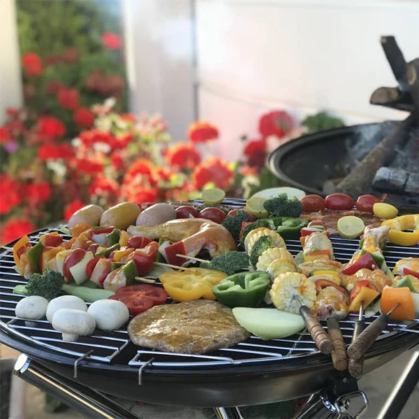 عکس شماره 11 : باربیکیو پارمیس مدل bbq 412