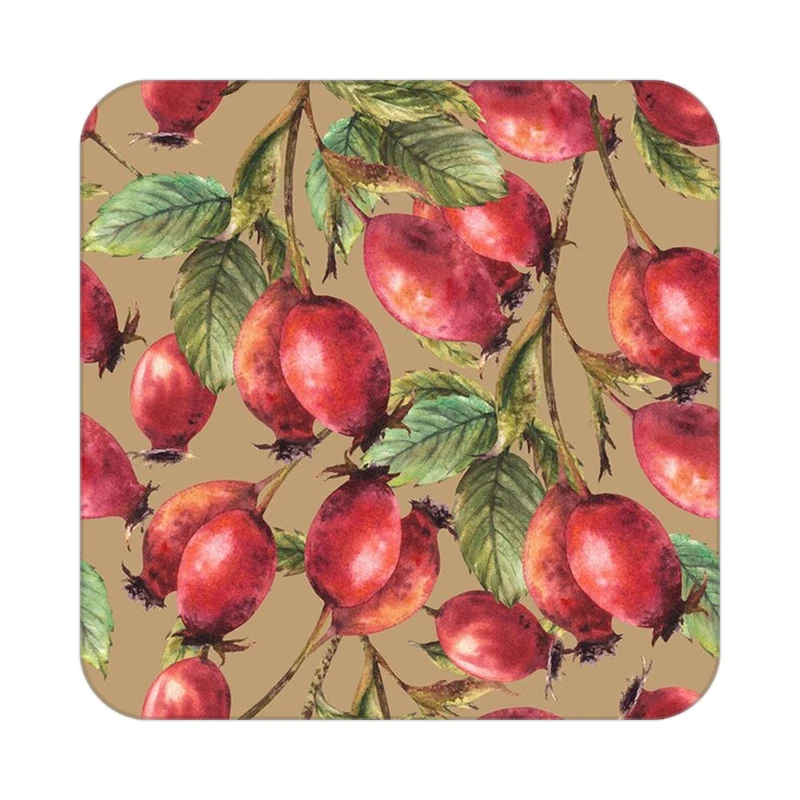 زیر لیوانی کاکتی طرح میوه مدل mp20005