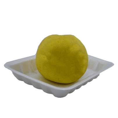 راهنمای فاصله کاشت درختان میوه پیوندی و غیر مثمر در حیاط