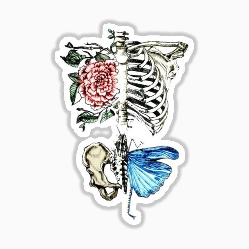 استیکر لپ تاپ و موبایل بووم طرح اسکلت پروانه کد 159