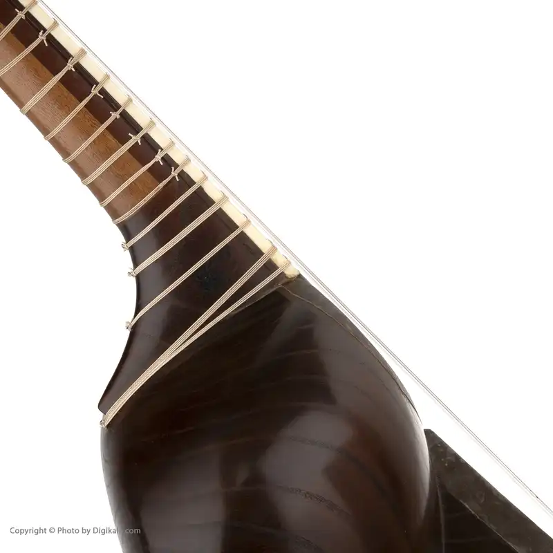 تار آوای مولانا مدل ارشد